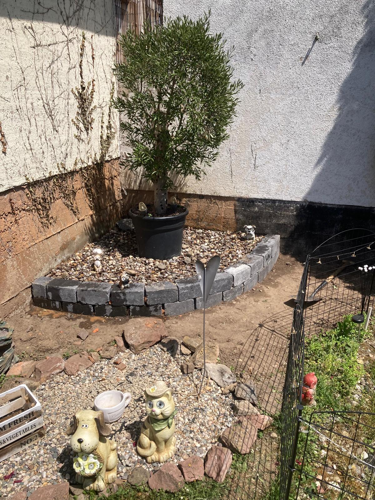 Professionelle Gartenpflege durch MA Hausmeisterservice